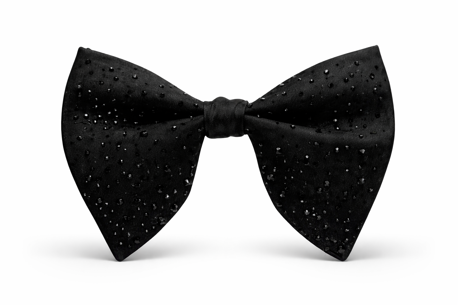 Fliege Groß Schwarz mit Steinen